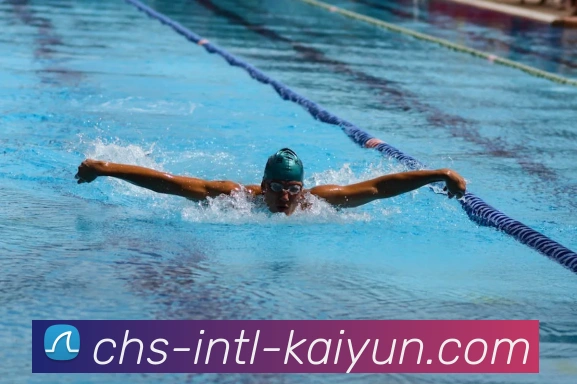 多媒体互动体验